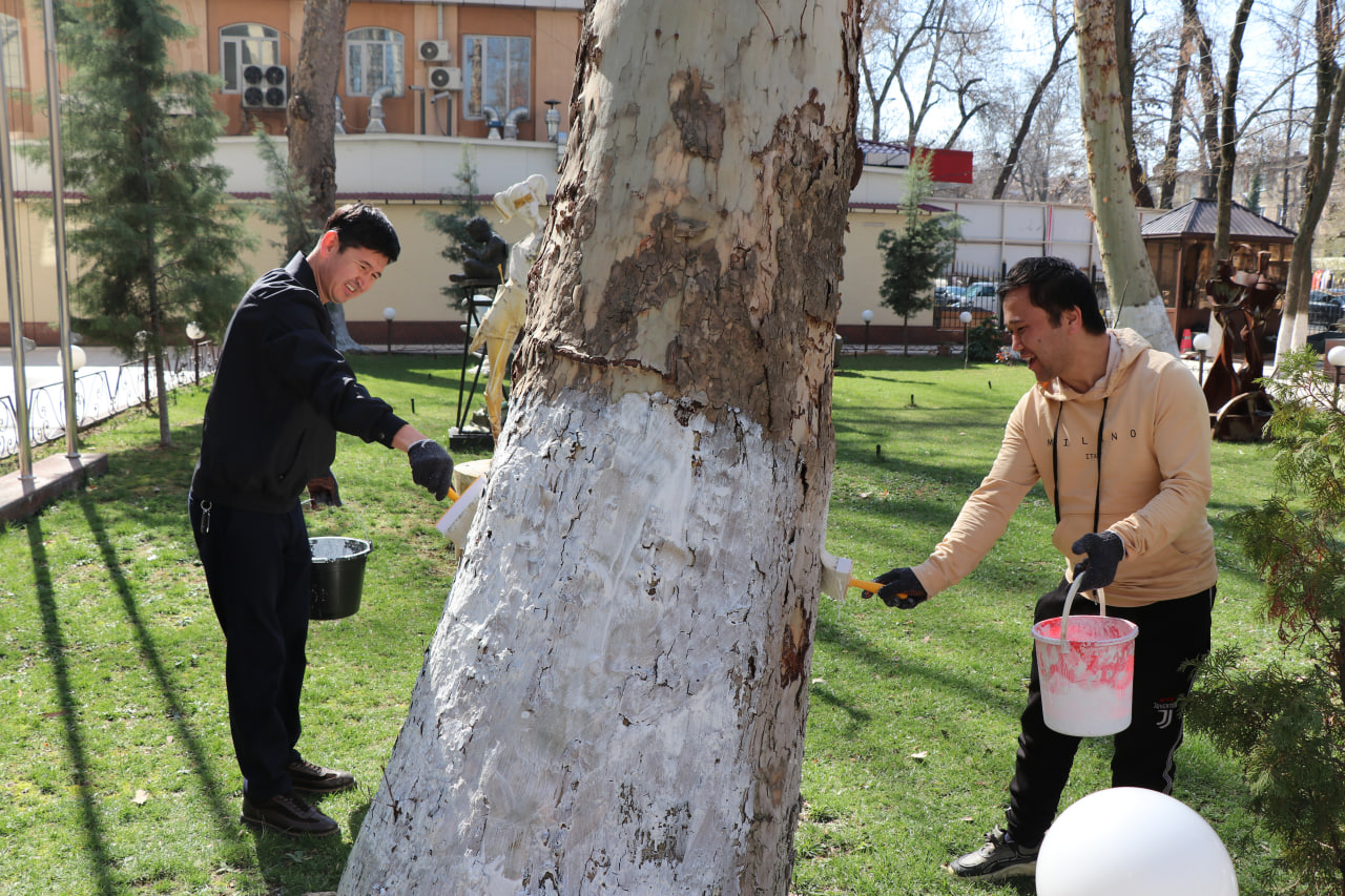 «Благоустройство Родины начинается с махалли!»