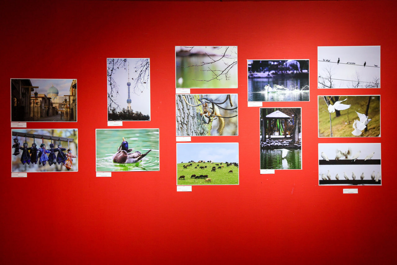 “Yoshlar ijodi” fotoko‘rgazmasi — inklyuzivlik va ilhom maydoni