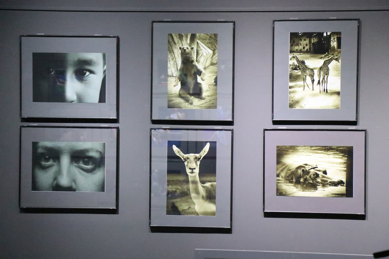 O‘zbekiston Badiiy ijodkorlar uyushmasining “Fotorassomlar sho‘basi” a’zolarining an’anaviy hisobot ko‘rgazmasi