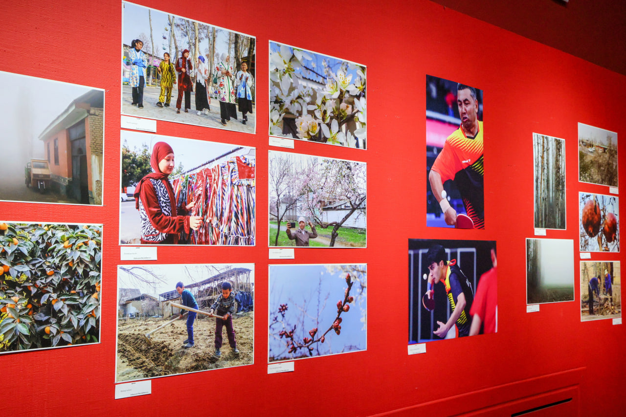 “Yoshlar ijodi” fotoko‘rgazmasi — inklyuzivlik va ilhom maydoni